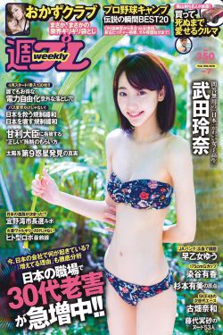 美人攻略在线观看全集电视剧